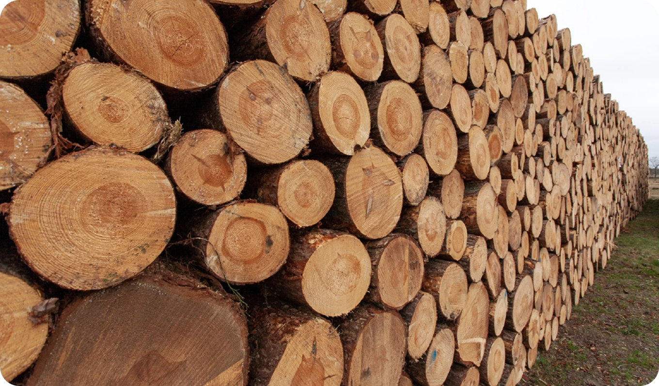 royal forest department